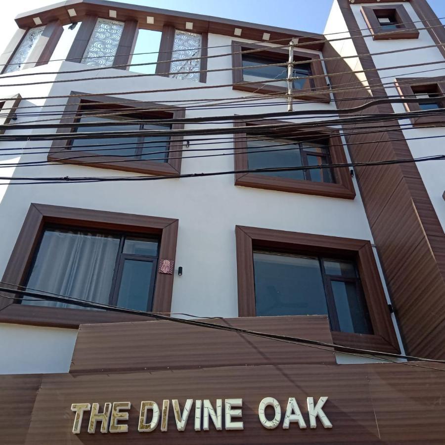 The Divine Oak Katra (Jammu and Kashmir) Exterior foto